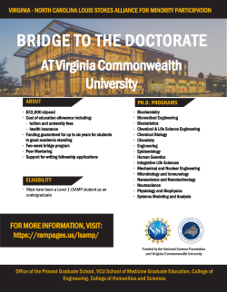 Picture of Bridge to the Doctorate @ VCU Flyer